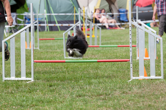 Agility