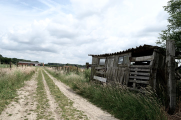 Very old and mossy wooden barn next to a rural road