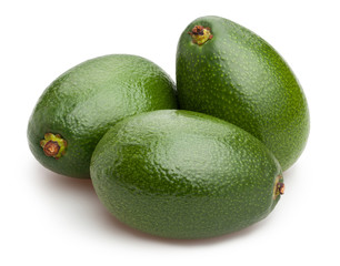 avocado