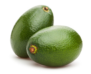 avocado