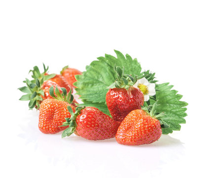 Fresh strawberries in bucket