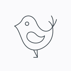 Bird with beak icon. Social media concept sign.