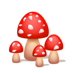 picture of mushroom