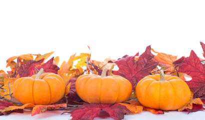 Three Mini Pumpkins With Colorful Leaves on White Background