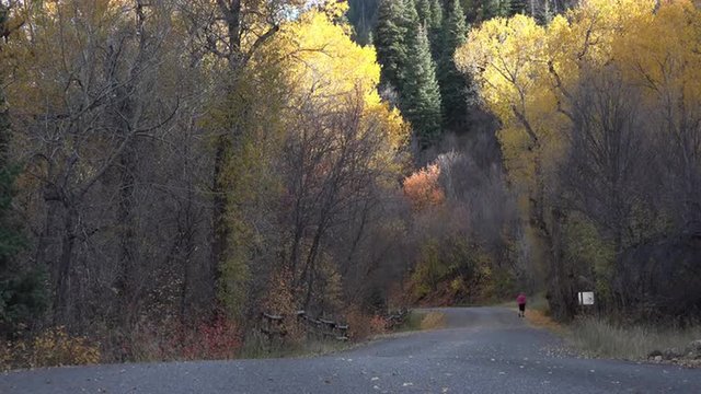 Mature woman walks along autumn mountain road 4K 057