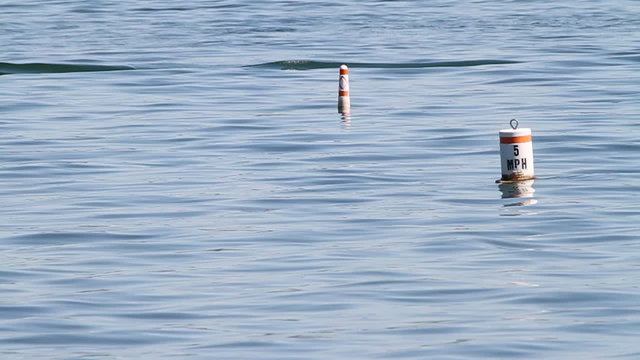 Two Buoys Floating. a couple of buoys float out in a lake. one of them has the speed as 5mph
