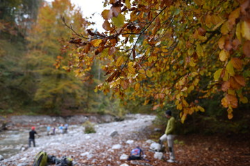 Tiroler Herbst im Wald der Wolfsklamm