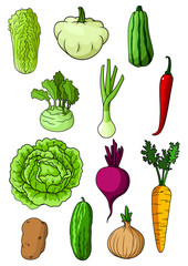 Fresh isolated organic farm vegetables