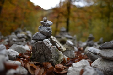 Fototapeta na wymiar Tiroler Herbst im Wald der Wolfsklamm