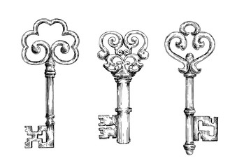 Sketch of vintage keys with curly elements