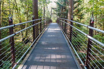 Suspension Bridge