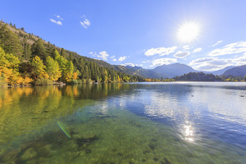 Fototapeta premium Beautiful fall color in California