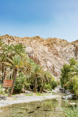 Fototapeta na wymiar A'Thowarah in Nakhl near to the fort, Oman. It is a popular picnic and relaxing place.