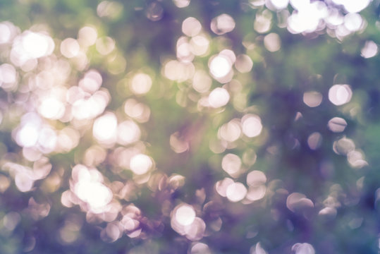 Fototapeta Blurred park with bokeh light. nature blur background. Spring meadow with big tree with fresh green leaves. Vintage effect style pictures.