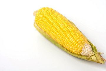 ears of Sweet corn isolated on white 