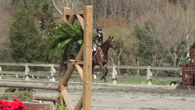 Woman rides horse in jumping competition 4K
