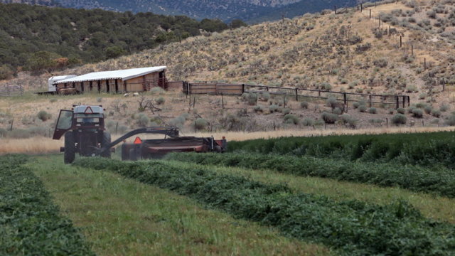 tractor cutting hay away farm P HD 1915