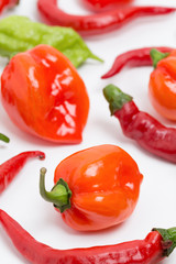 生のトウガラシ　ハバネロ、ジョロキア、赤トウガラシ