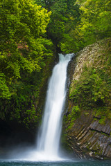 日本の滝　伊豆　浄蓮の滝