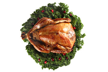 Roast turkey isolated on white background, shallow focus