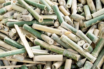 Photo sur Plexiglas Bambou bamboo