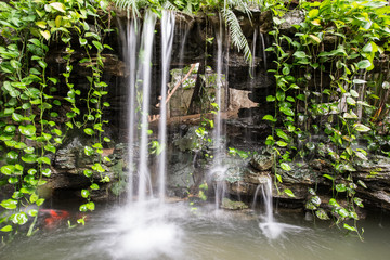 small waterfall of a rockery