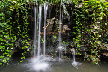small waterfall of a rockery