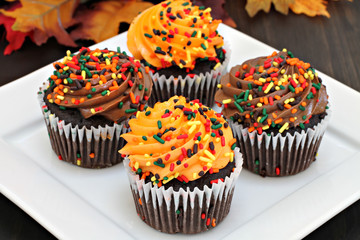 Autumn chocolate cupcakes with orange and chocolate frosting and
