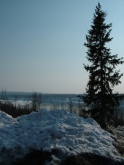 Светлогорск