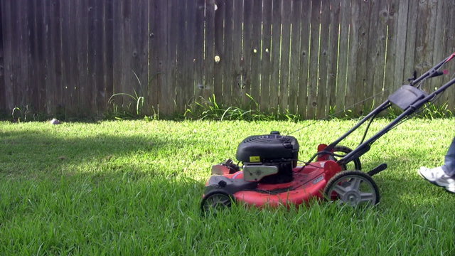 Mowing grass in yard wood slat fence Rt to Lft HD