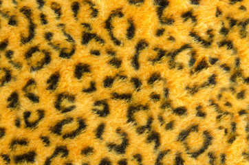 Closeup of leopard fur with black spots