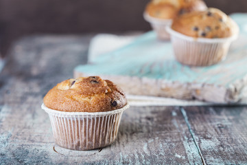 Chocolate muffin on a wooden background