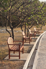 Bench under a tree