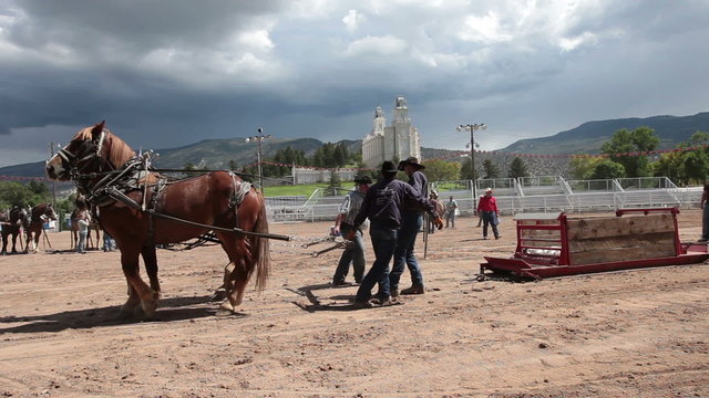 Draft horse sled pull contest P HD 9609