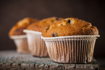 Chocolate muffin on a wooden background