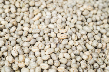 Kopi luwak coffee series