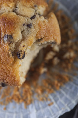 Chocolate muffin on a wooden background