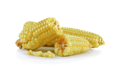 Corn isolated on a white background