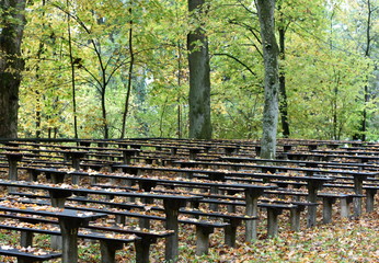 aire de pique-nique en automne