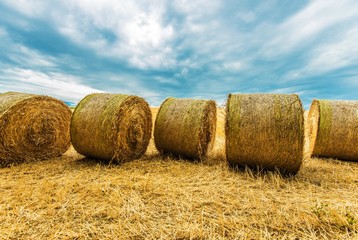 Hay Bales Agriculture Scenery