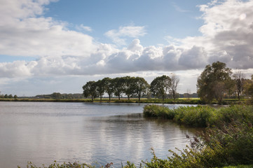 Small lake with a row of trees