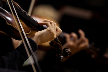 Naklejka premium Ręce skrzypków w orkiestrze symfonicznej