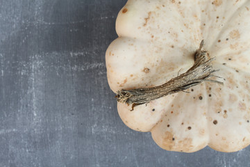 White pumpkin on a black chalkboard