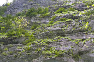slope of the mountain