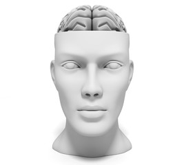 Human head with brain