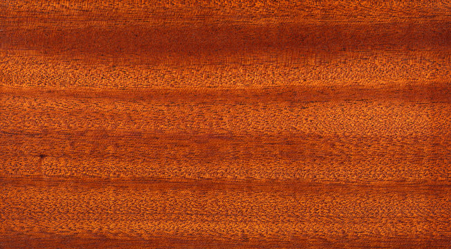 Wood texture with natural wood pattern