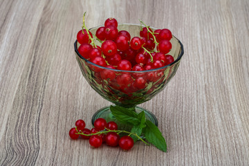 Red currant