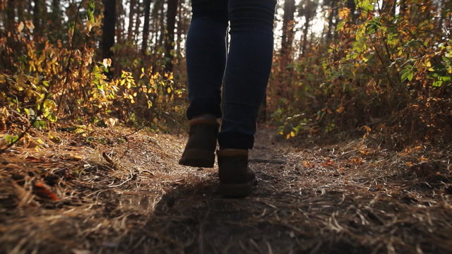 Feet. Boots. Girl walking along in the autumn forest. Steadicam shot