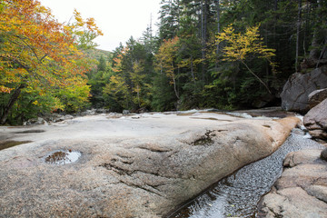 Autumn forest and water