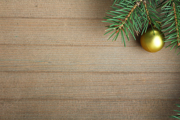 the branches and eating Christmas toy on a wooden background